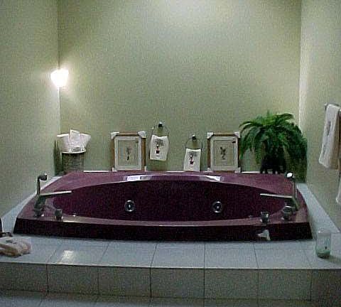 Master bedroom jacuzzi