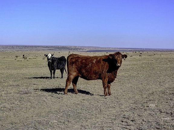 5th image of State Highway 96