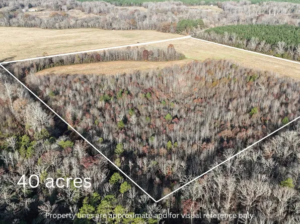 0 Highway 124, Cleveland, AR 72030