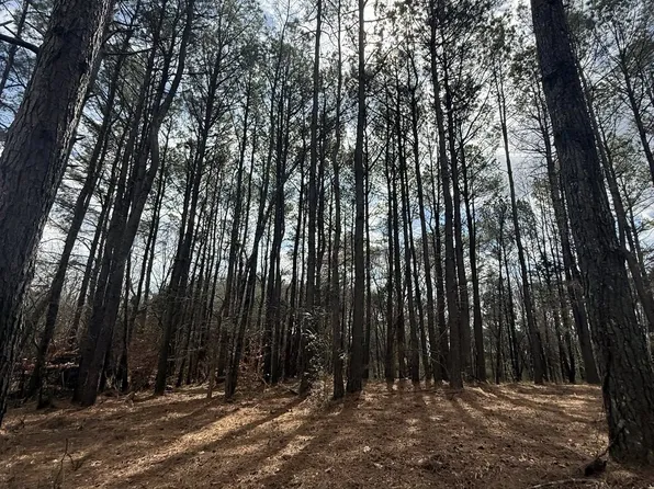 5583 Petigap Rd, Morrison, TN 37357