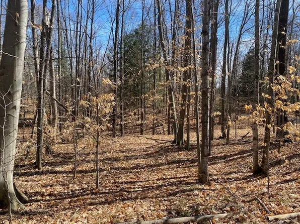 Tower Ln #21, Mountain, WI 54149