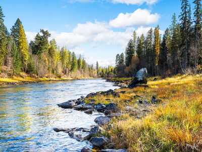 Nhn Watchman Way, Bigfork, MT, 59911