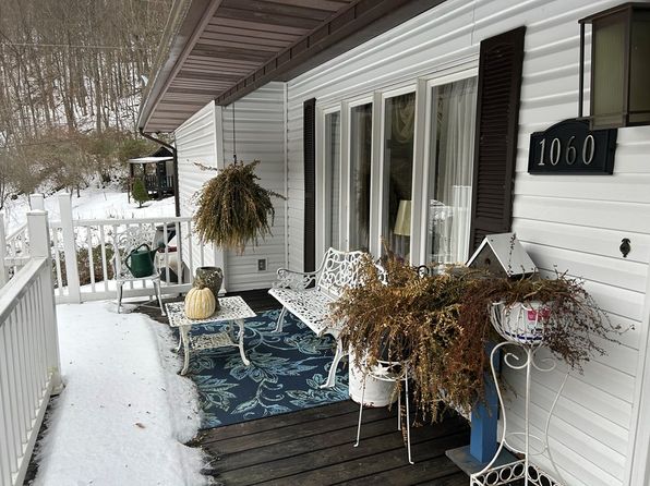 1060 Ira Fork Rd, Hurley, VA 24620
