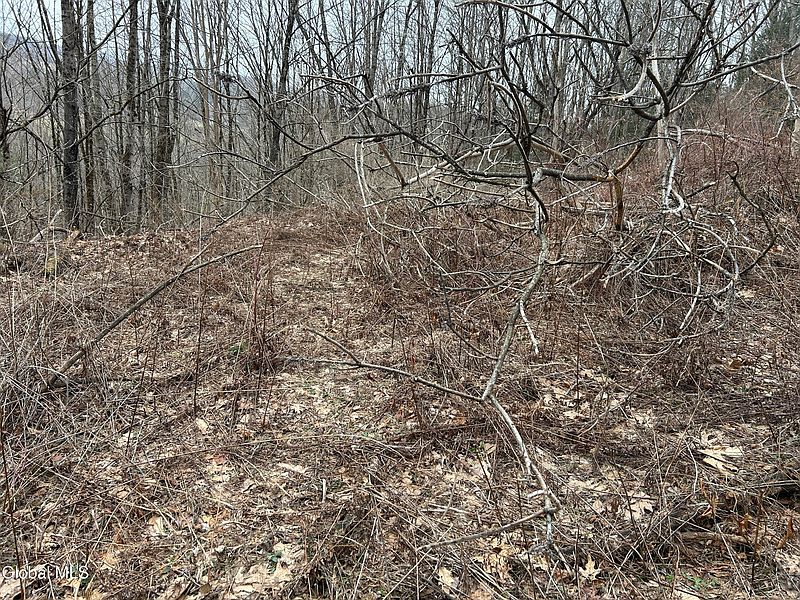 4th image of 135 Clark Way