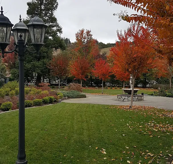 Windemere Ct — Photo 3