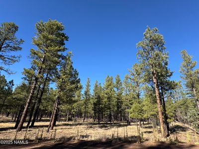 LOT 3L N Quintana Dr, Flagstaff, AZ, 86001