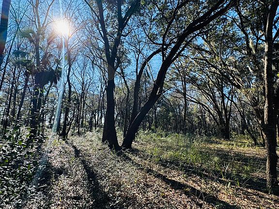 5th image of 0 Rosa Scott Rd