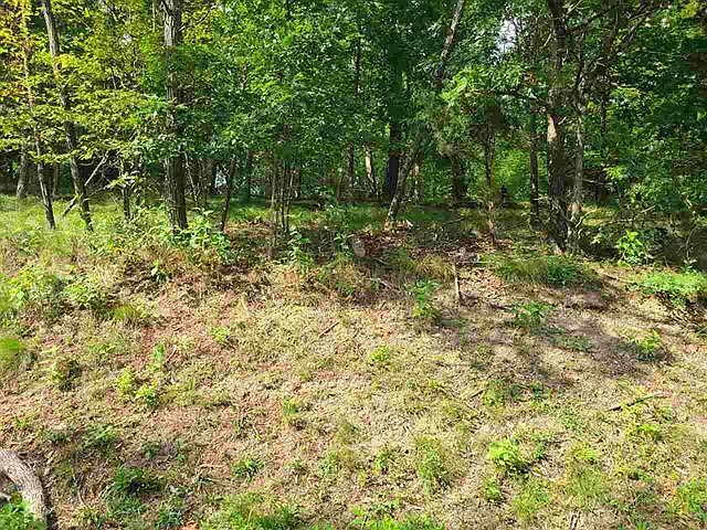 1st image of 1437 Echota Ln