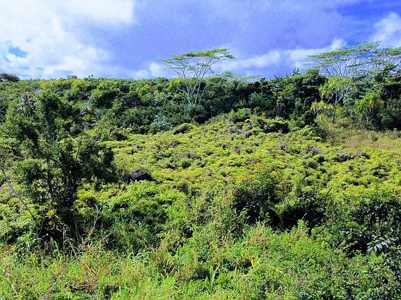 4th image of Wahi Heiau Pl