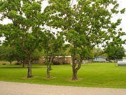 4th image of 4922 Wendy Ln