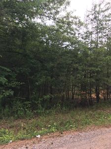 1 Clements Rd, McMinnville, TN, 37110