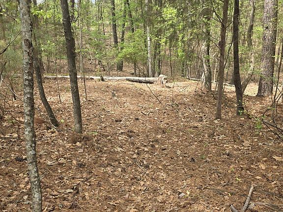 2nd image of 2093 Lometa Rd