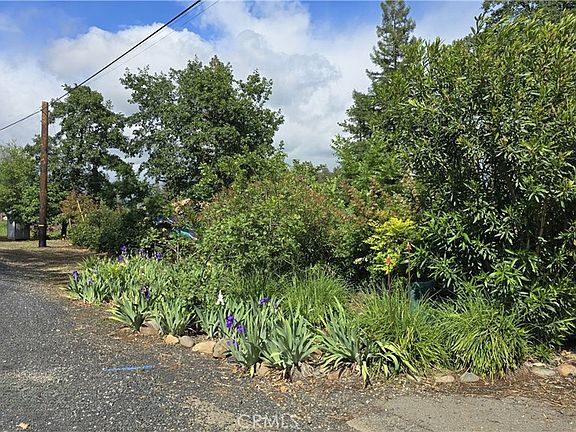 3rd image of 5720 Round Tree Dr