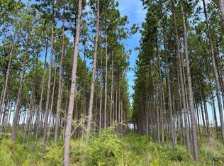 Pea Market Rd, Columbia, AL 36319