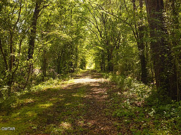4th image of 0 Beech Bluff Rd