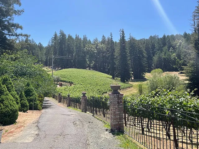 1415 Howell Mountain Rd — Photo 3