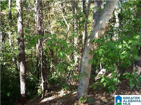 2nd image of 2108 Riverine Oaks Pl