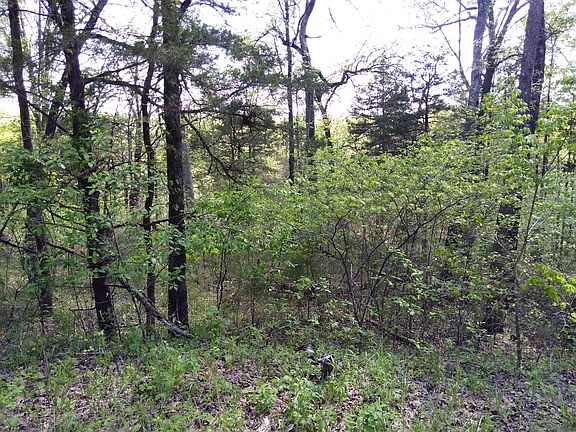 3rd image of Wallace Dr