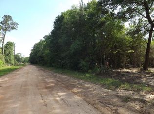 33 Birch Pl, New Caney, TX 77357