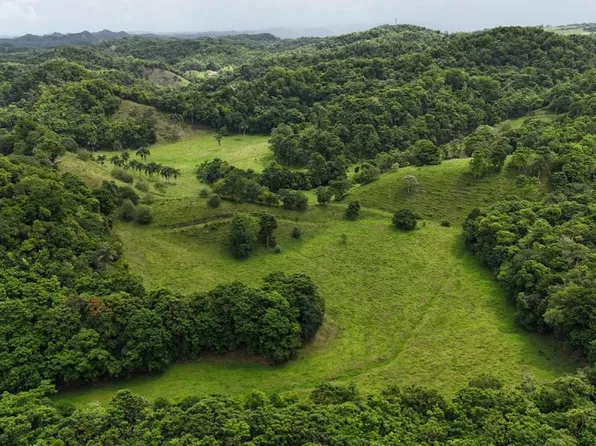 Carr 641 Km 4 Bo Rio Arriba Poniente, Manati, PR 00674
