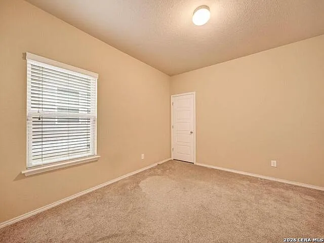8311 Prickly Oak — Photo 18