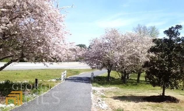 13 Northlake Dr #13 — Photo 47