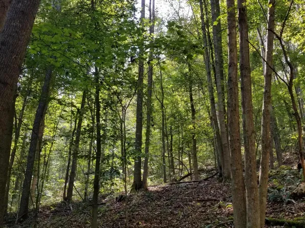 0 Beech Fork Rd, Peebles, OH 45660