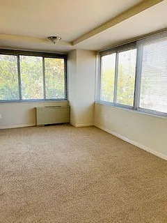 The 925 Apartments — Photo 99