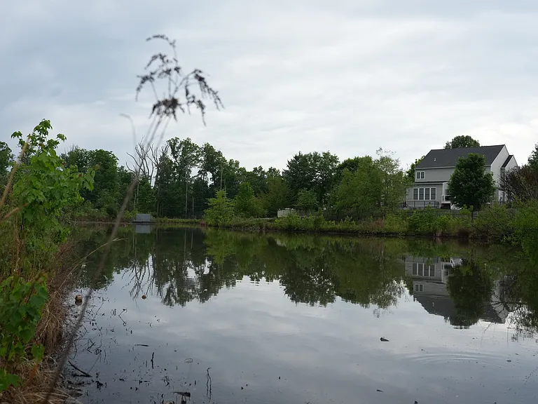 Pond