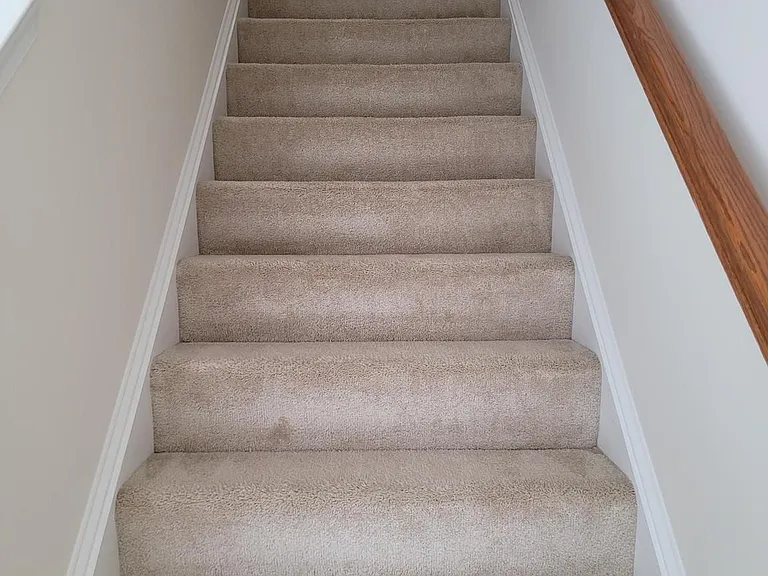 25117 Sweet Myrtle Sq — Photo 10
