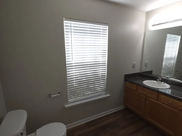 105 Zippo Pine Dr — Photo 16