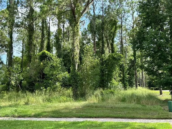 15614 Pendio Dr #157, Montverde, FL 34756