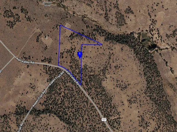 547100 Ash Valley Rd, Madeline, CA 96119