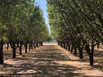 000 W Marinette Avenue, Exeter, CA, 93221