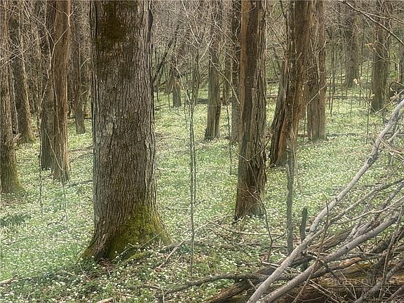 3rd image of TBD Lot 48 Rainbow Ridge
