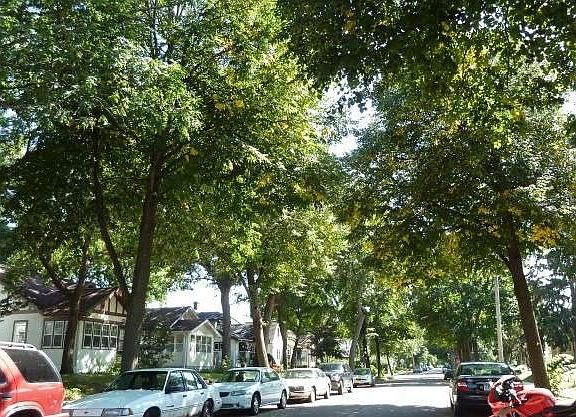 3rd image of 3734 Russell Ave N