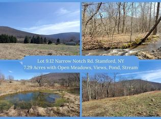 LOT 9.12 Narrow Notch Rd #9, Hobart, NY 13788