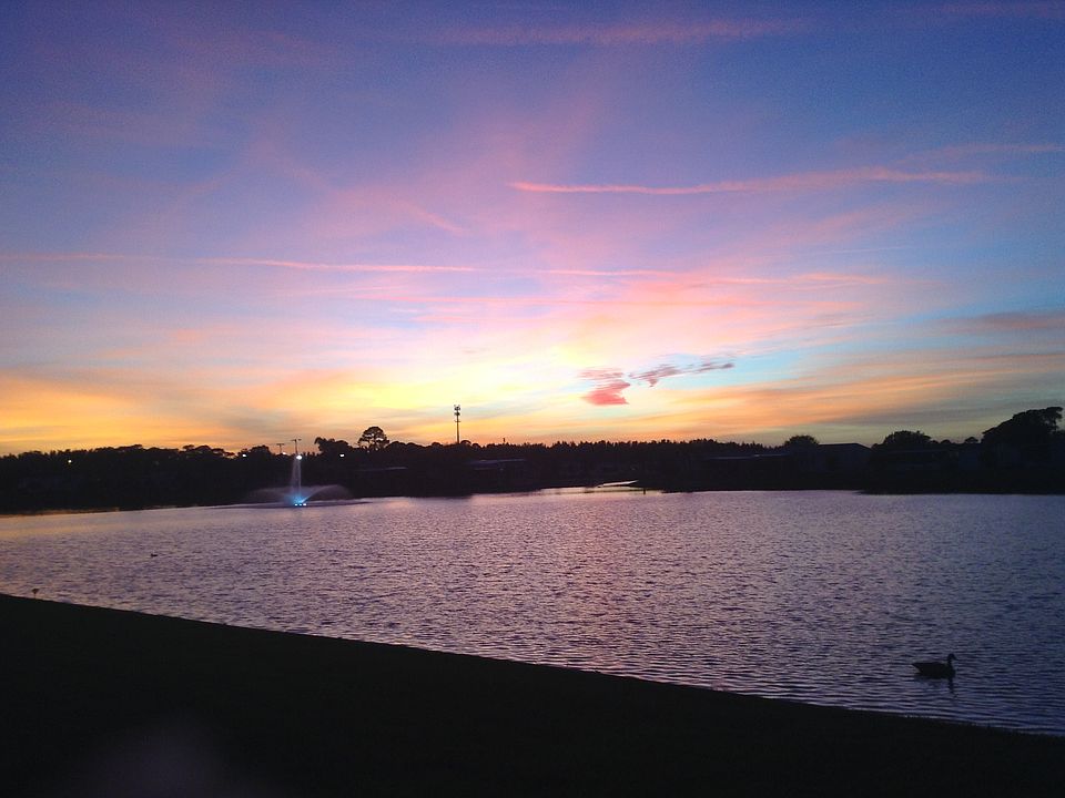 View from Lanai