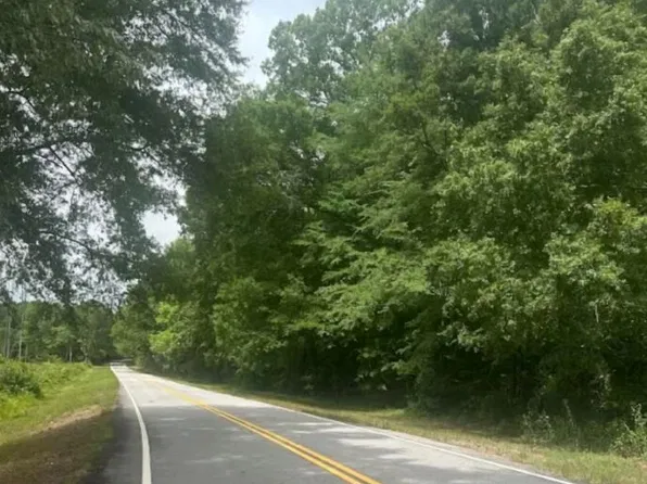 LOT 1 40/ac Line Creek Rd, Senoia, GA 30276