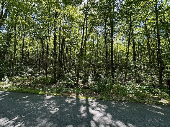 5th image of 0 Nichewaug Rd