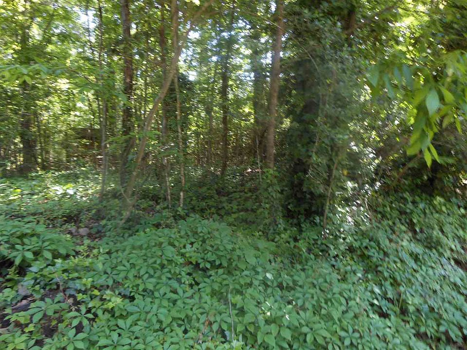 1st image of 253 River Oaks Dr