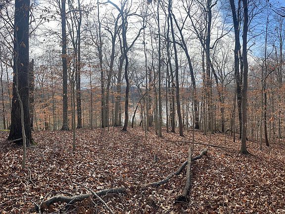 2nd image of Lot 11 Fishing Creek