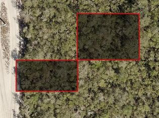 0 RIEGEL (PAPER) AVENUE LOT 25, ORANGE CITY, FL 32763