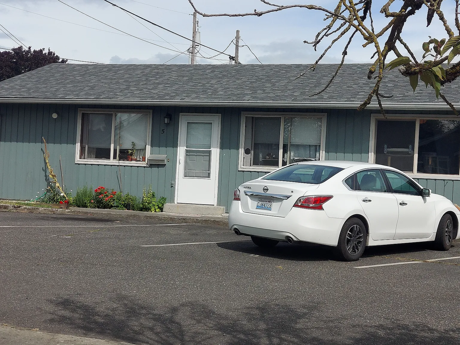 1 bed, 600 sqft, $1,350 — Photo 1
