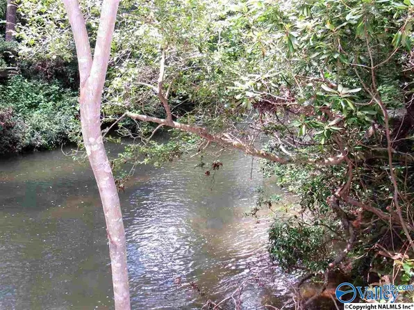 3.01 Acres River Ln #28, Mentone, AL 35984