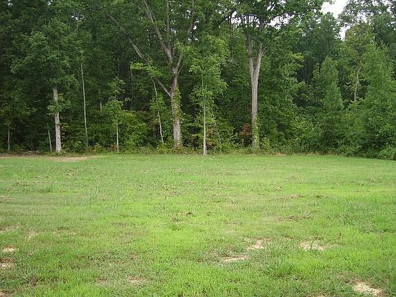 5th image of 225 Fox Grove Ln