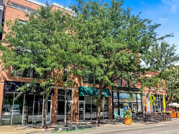 1872 N Damen Ave APT 3S, Chicago, IL 60647