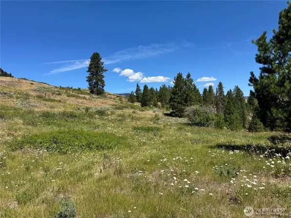 1 A Lundimo Meadows Road, Curlew, WA 99118