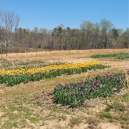 4th image of 0 Hensley Rd Lot 16
