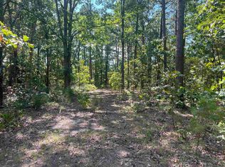 5 Diamond Bluff Rd, Quitman, AR 72131